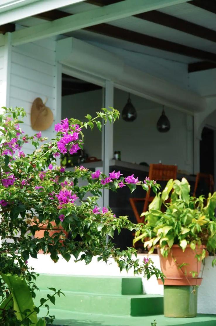 Villa Cristalline Douceur Des Alizes Belle-Allée 外观 照片